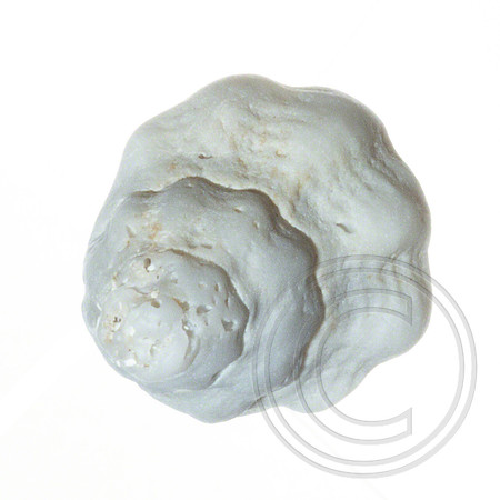 Shell-13