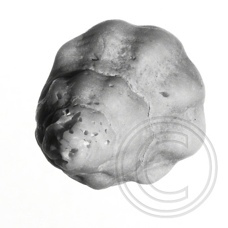 Shell-14
