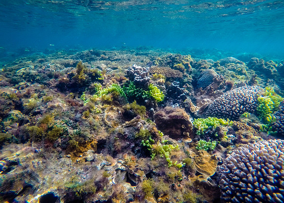 Under Slaughter Bay, Norfolk Island